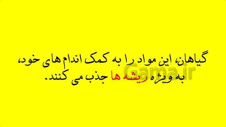 پاورپوینت آموزش کتاب درسی زیست شناسی دهم | فصل 7: جذب و انتقال مواد در گیاهان- پیش نمایش