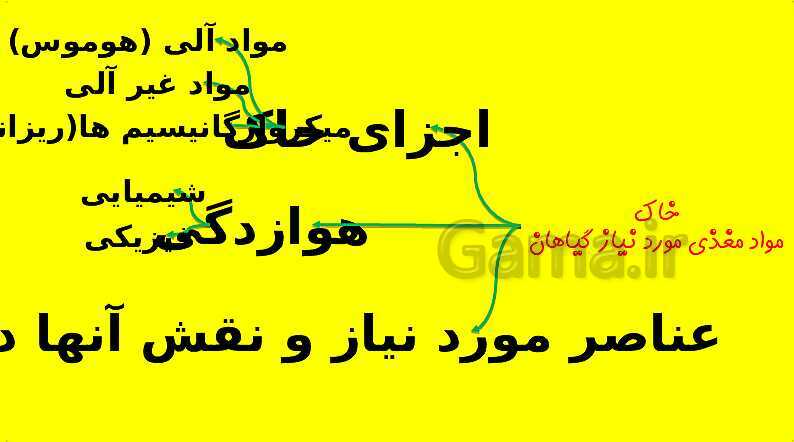 پاورپوینت آموزش کتاب درسی زیست شناسی دهم | فصل 7: جذب و انتقال مواد در گیاهان- پیش نمایش