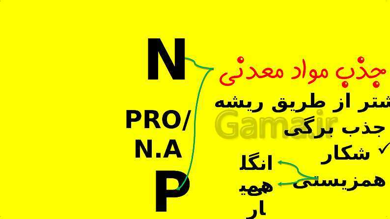 پاورپوینت آموزش کتاب درسی زیست شناسی دهم | فصل 7: جذب و انتقال مواد در گیاهان- پیش نمایش