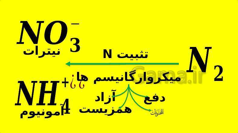 پاورپوینت آموزش کتاب درسی زیست شناسی دهم | فصل 7: جذب و انتقال مواد در گیاهان- پیش نمایش