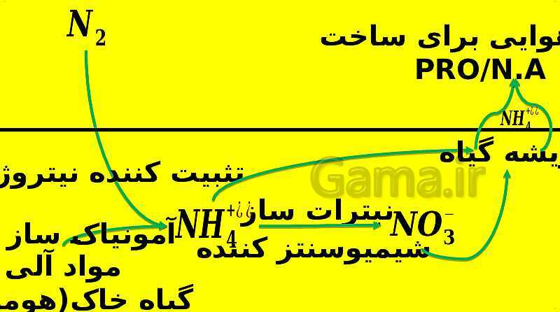 پاورپوینت آموزش کتاب درسی زیست شناسی دهم | فصل 7: جذب و انتقال مواد در گیاهان- پیش نمایش