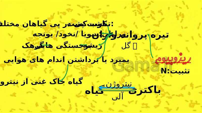 پاورپوینت آموزش کتاب درسی زیست شناسی دهم | فصل 7: جذب و انتقال مواد در گیاهان- پیش نمایش