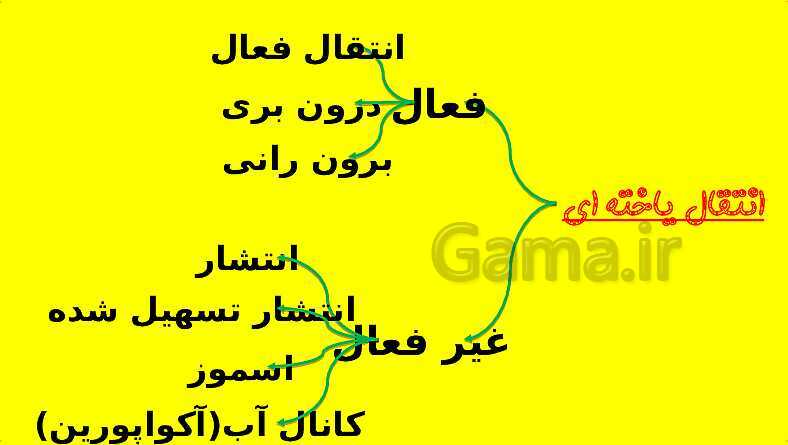 پاورپوینت آموزش کتاب درسی زیست شناسی دهم | فصل 7: جذب و انتقال مواد در گیاهان- پیش نمایش