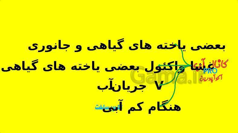 پاورپوینت آموزش کتاب درسی زیست شناسی دهم | فصل 7: جذب و انتقال مواد در گیاهان- پیش نمایش