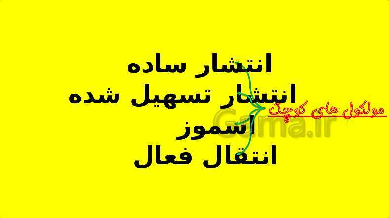 پاورپوینت آموزش کتاب درسی زیست شناسی دهم | فصل 7: جذب و انتقال مواد در گیاهان- پیش نمایش