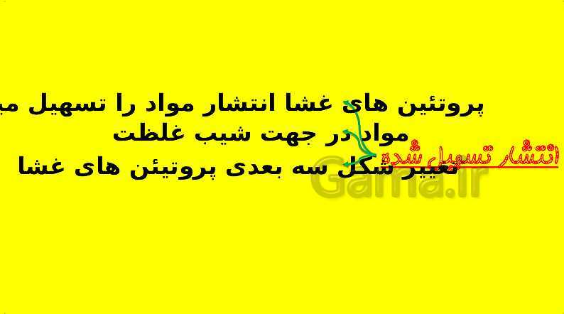 پاورپوینت آموزش کتاب درسی زیست شناسی دهم | فصل 7: جذب و انتقال مواد در گیاهان- پیش نمایش