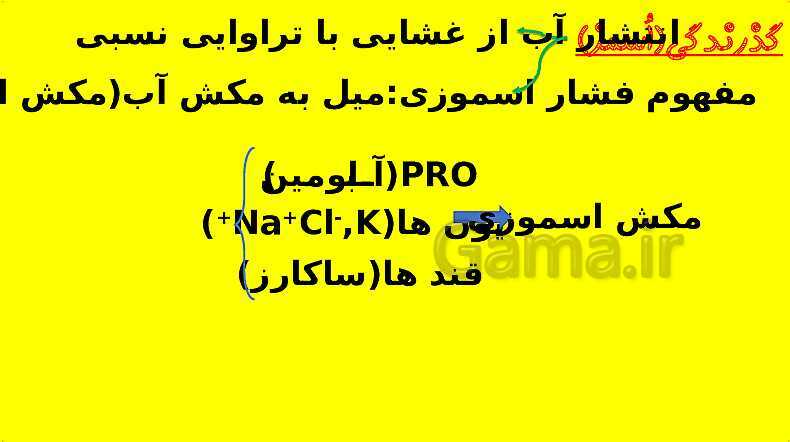 پاورپوینت آموزش کتاب درسی زیست شناسی دهم | فصل 7: جذب و انتقال مواد در گیاهان- پیش نمایش