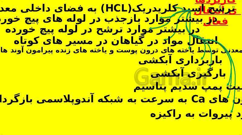 پاورپوینت آموزش کتاب درسی زیست شناسی دهم | فصل 7: جذب و انتقال مواد در گیاهان- پیش نمایش