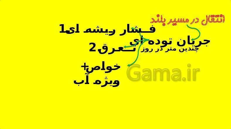 پاورپوینت آموزش کتاب درسی زیست شناسی دهم | فصل 7: جذب و انتقال مواد در گیاهان- پیش نمایش