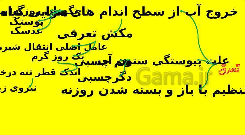 پاورپوینت آموزش کتاب درسی زیست شناسی دهم | فصل 7: جذب و انتقال مواد در گیاهان- پیش نمایش