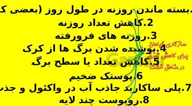 پاورپوینت آموزش کتاب درسی زیست شناسی دهم | فصل 7: جذب و انتقال مواد در گیاهان- پیش نمایش