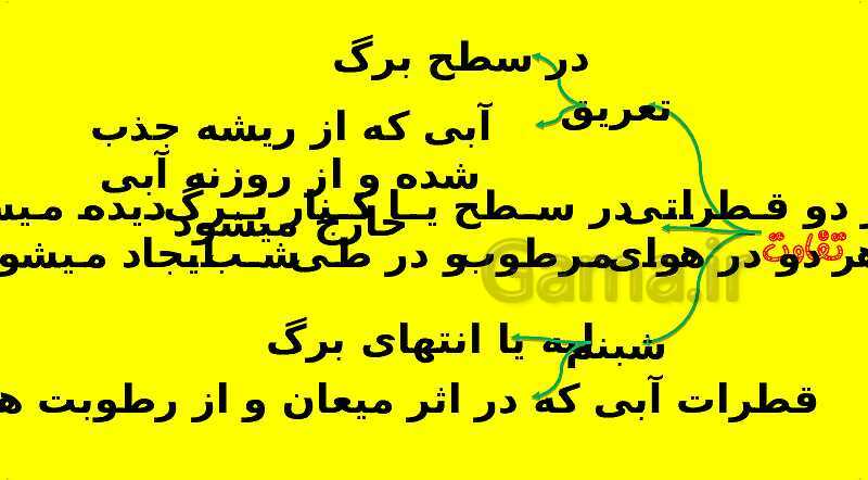 پاورپوینت آموزش کتاب درسی زیست شناسی دهم | فصل 7: جذب و انتقال مواد در گیاهان- پیش نمایش