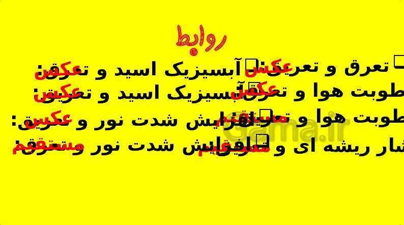 پاورپوینت آموزش کتاب درسی زیست شناسی دهم | فصل 7: جذب و انتقال مواد در گیاهان- پیش نمایش