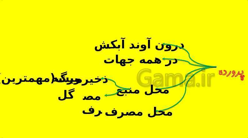 پاورپوینت آموزش کتاب درسی زیست شناسی دهم | فصل 7: جذب و انتقال مواد در گیاهان- پیش نمایش