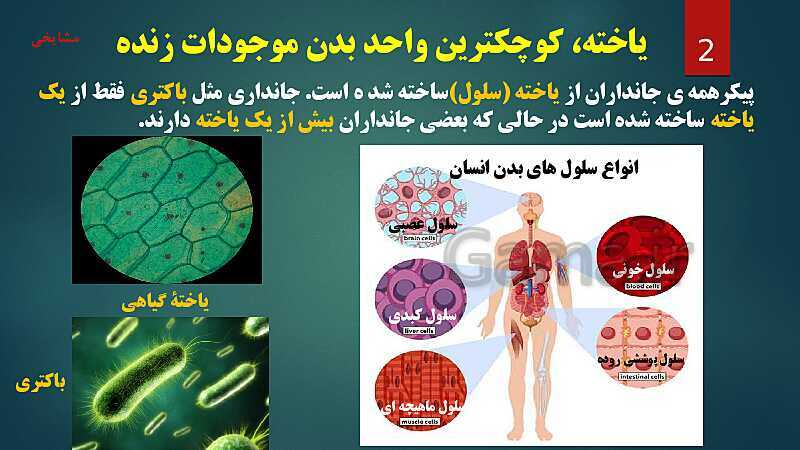 پاورپوینت آموزش مفهومی فصل 11: یاخته و سازمان بندی آن- پیش نمایش