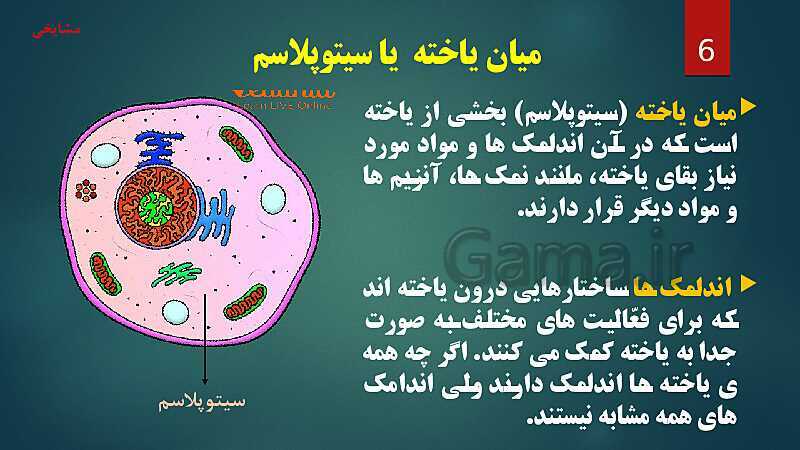 پاورپوینت آموزش مفهومی فصل 11: یاخته و سازمان بندی آن- پیش نمایش