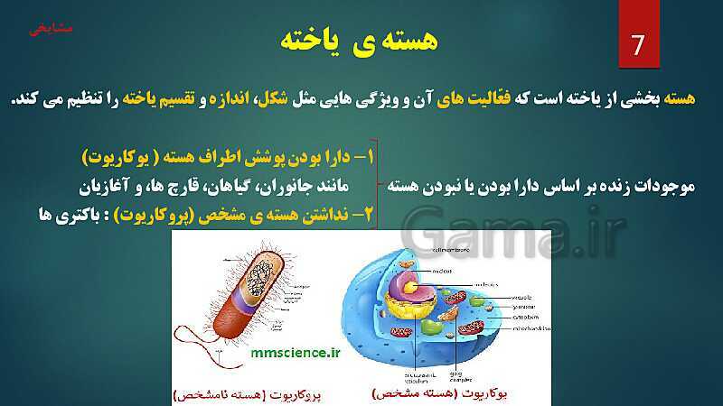 پاورپوینت آموزش مفهومی فصل 11: یاخته و سازمان بندی آن- پیش نمایش