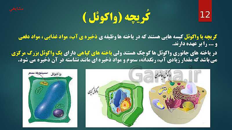 پاورپوینت آموزش مفهومی فصل 11: یاخته و سازمان بندی آن- پیش نمایش