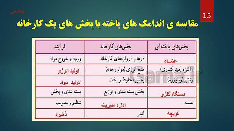 پاورپوینت آموزش مفهومی فصل 11: یاخته و سازمان بندی آن- پیش نمایش