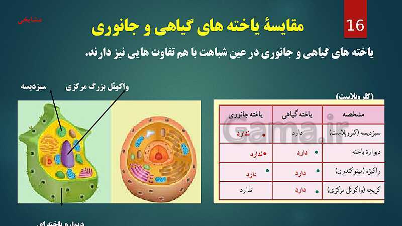 پاورپوینت آموزش مفهومی فصل 11: یاخته و سازمان بندی آن- پیش نمایش