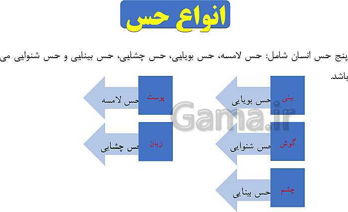 پاورپوینت درس 6: چه خبر 1 (بینایی و شنوایی)؟- پیش نمایش