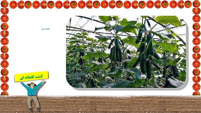پاورپوینت آموزش درس 6: محصولات کشاورزی، از تولید تا مصرف | مطالعات ششم دبستان- پیش نمایش