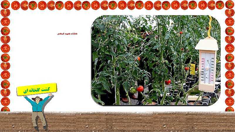 پاورپوینت آموزش درس 6: محصولات کشاورزی، از تولید تا مصرف | مطالعات ششم دبستان- پیش نمایش