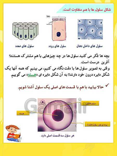 پاورپوینت خودآموز علوم چهارم دبستان | درس 9: بدن ما (1)- پیش نمایش