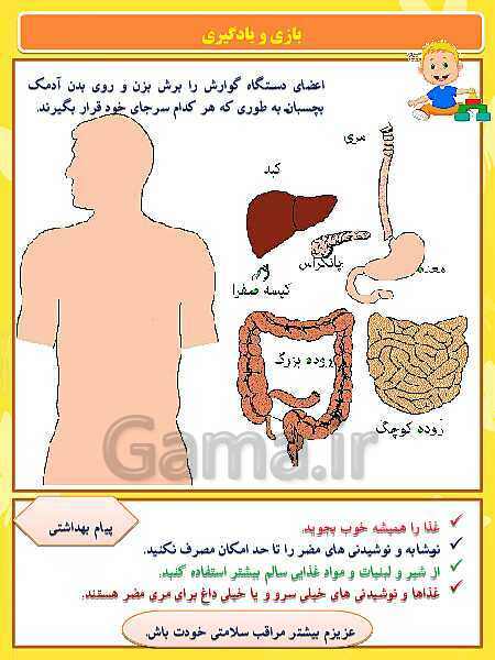 پاورپوینت خودآموز علوم چهارم دبستان | درس 9: بدن ما (1)- پیش نمایش