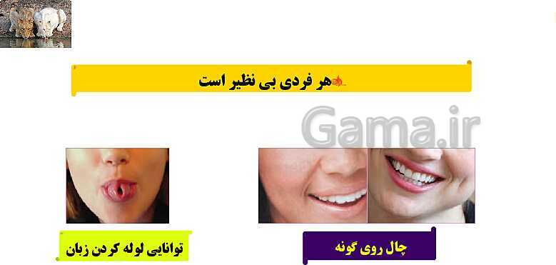 پاورپوینت آموزش کتاب درسی علوم تجربی هشتم | فصل 7: الفبای زیست فناوری- پیش نمایش