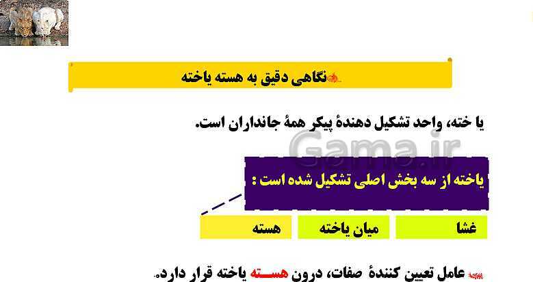 پاورپوینت آموزش کتاب درسی علوم تجربی هشتم | فصل 7: الفبای زیست فناوری- پیش نمایش