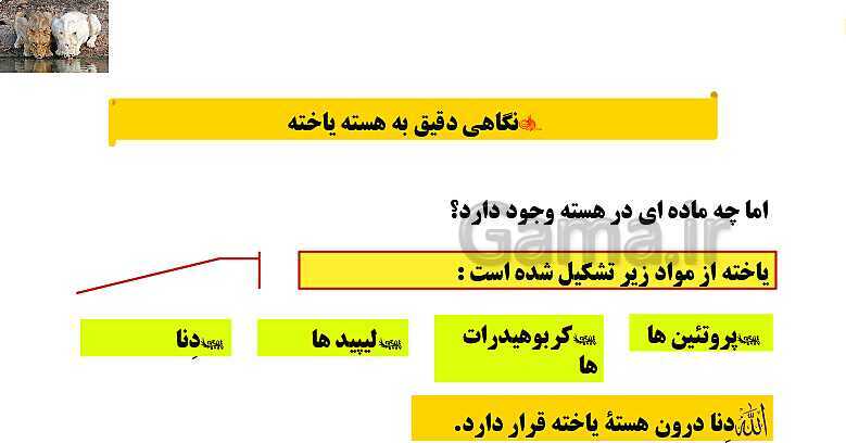 پاورپوینت آموزش کتاب درسی علوم تجربی هشتم | فصل 7: الفبای زیست فناوری- پیش نمایش