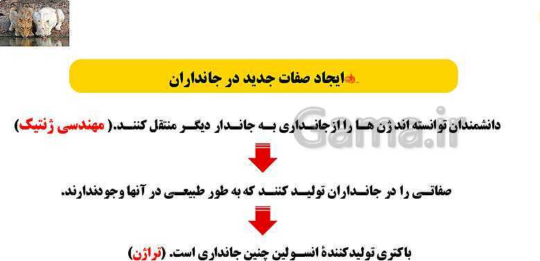 پاورپوینت آموزش کتاب درسی علوم تجربی هشتم | فصل 7: الفبای زیست فناوری- پیش نمایش