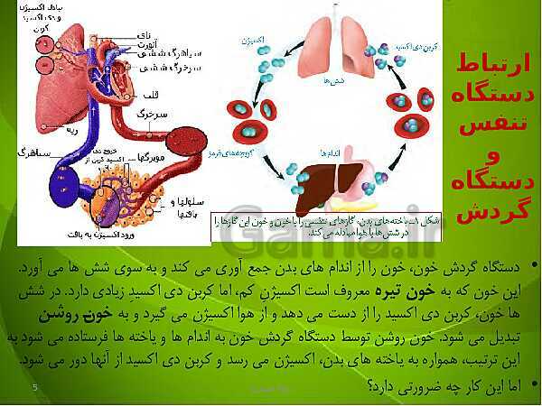 پاورپوینت فصل سوم زیست دهم: تبادلات گازی- پیش نمایش