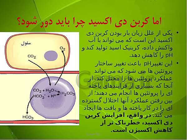 پاورپوینت فصل سوم زیست دهم: تبادلات گازی- پیش نمایش