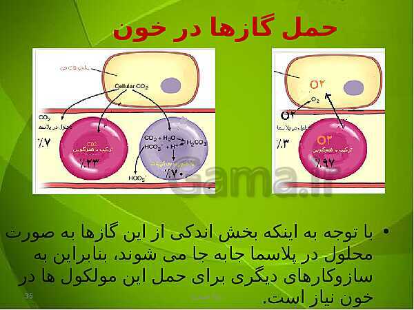 پاورپوینت فصل سوم زیست دهم: تبادلات گازی- پیش نمایش