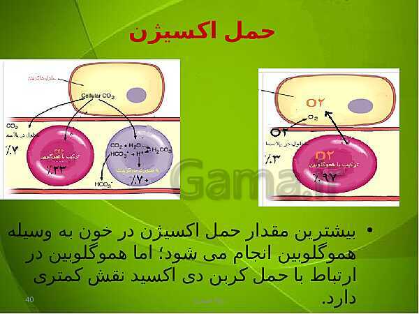 پاورپوینت فصل سوم زیست دهم: تبادلات گازی- پیش نمایش