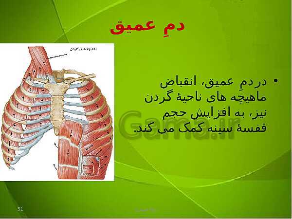 پاورپوینت فصل سوم زیست دهم: تبادلات گازی- پیش نمایش