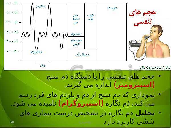 پاورپوینت فصل سوم زیست دهم: تبادلات گازی- پیش نمایش