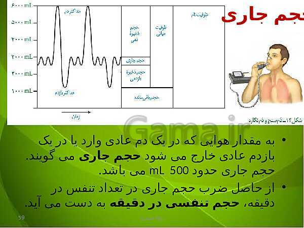 پاورپوینت فصل سوم زیست دهم: تبادلات گازی- پیش نمایش