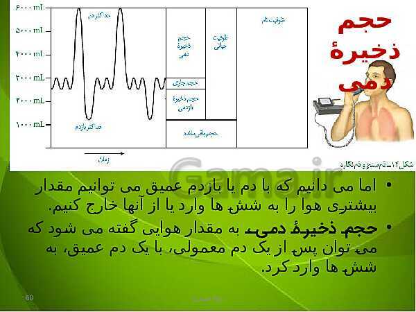 پاورپوینت فصل سوم زیست دهم: تبادلات گازی- پیش نمایش