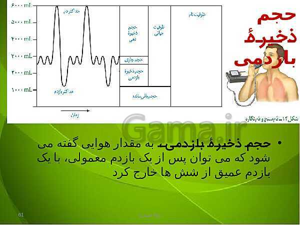 پاورپوینت فصل سوم زیست دهم: تبادلات گازی- پیش نمایش