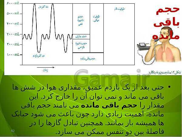 پاورپوینت فصل سوم زیست دهم: تبادلات گازی- پیش نمایش