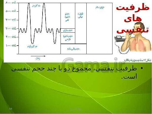 پاورپوینت فصل سوم زیست دهم: تبادلات گازی- پیش نمایش