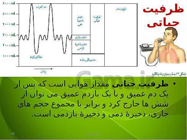 پاورپوینت فصل سوم زیست دهم: تبادلات گازی- پیش نمایش