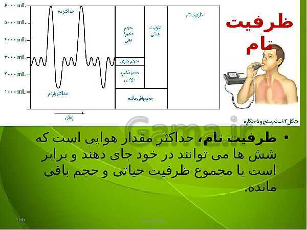 پاورپوینت فصل سوم زیست دهم: تبادلات گازی- پیش نمایش