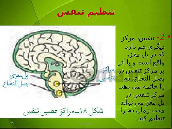 پاورپوینت فصل سوم زیست دهم: تبادلات گازی- پیش نمایش