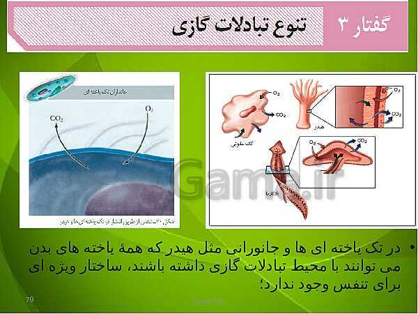 پاورپوینت فصل سوم زیست دهم: تبادلات گازی- پیش نمایش