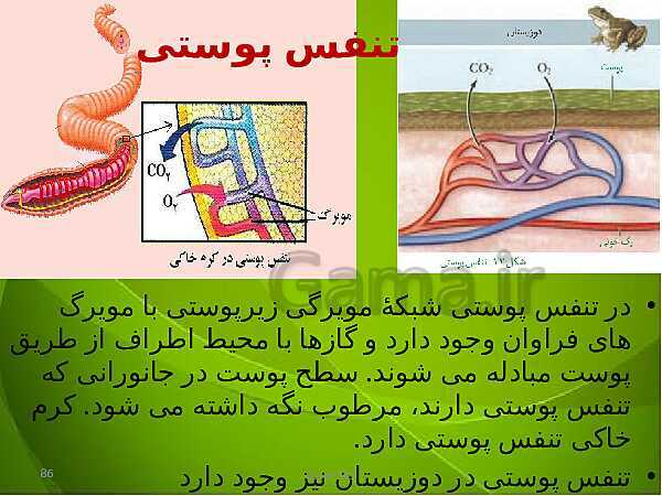 پاورپوینت فصل سوم زیست دهم: تبادلات گازی- پیش نمایش