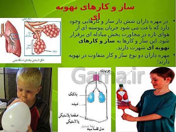 پاورپوینت فصل سوم زیست دهم: تبادلات گازی- پیش نمایش